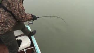 海竿钓鱼视频大全高清视频,高清视频大全带你畅游鱼塘